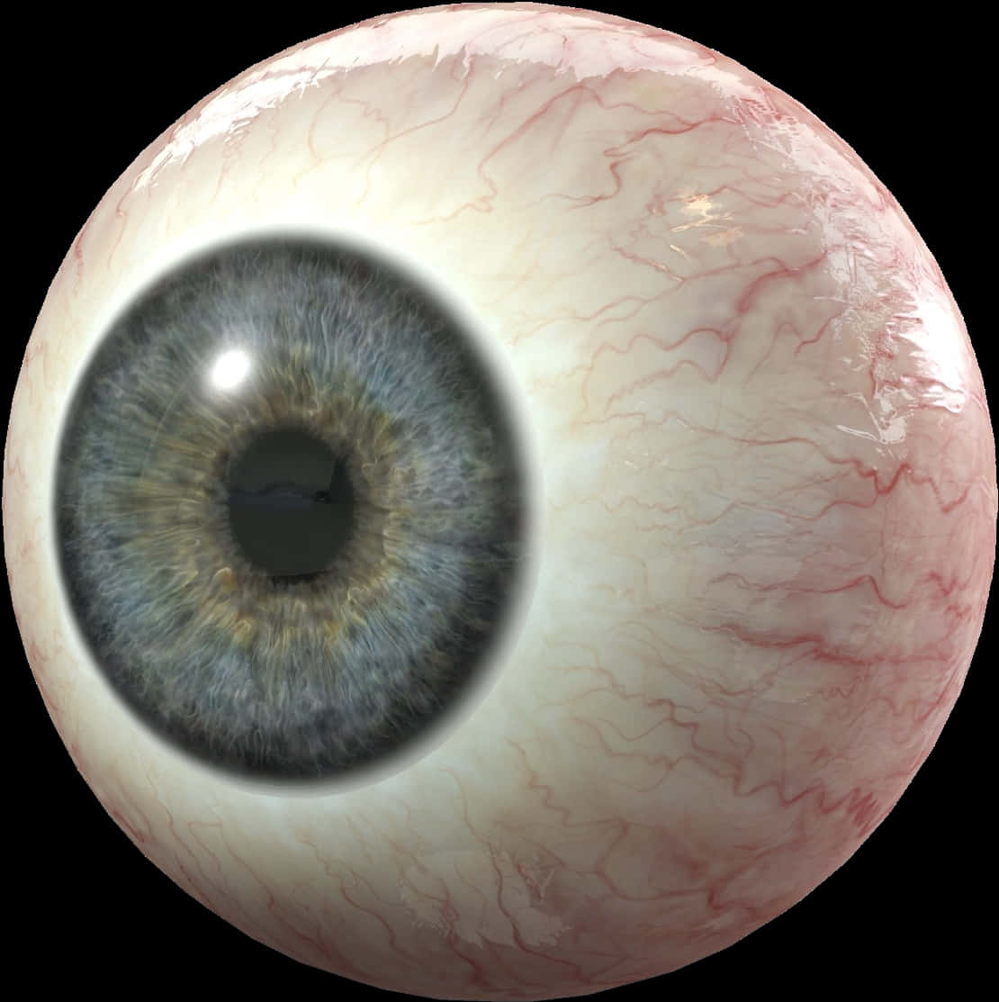 Detailed Human Eyeball Closeup PNG