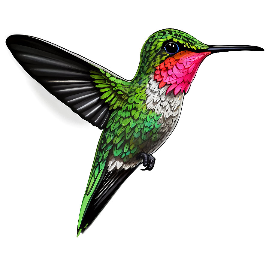 Download Detailed Hummingbird Png Cnd | Wallpapers.com