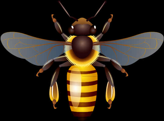 Detailed Illustrationof Bee PNG
