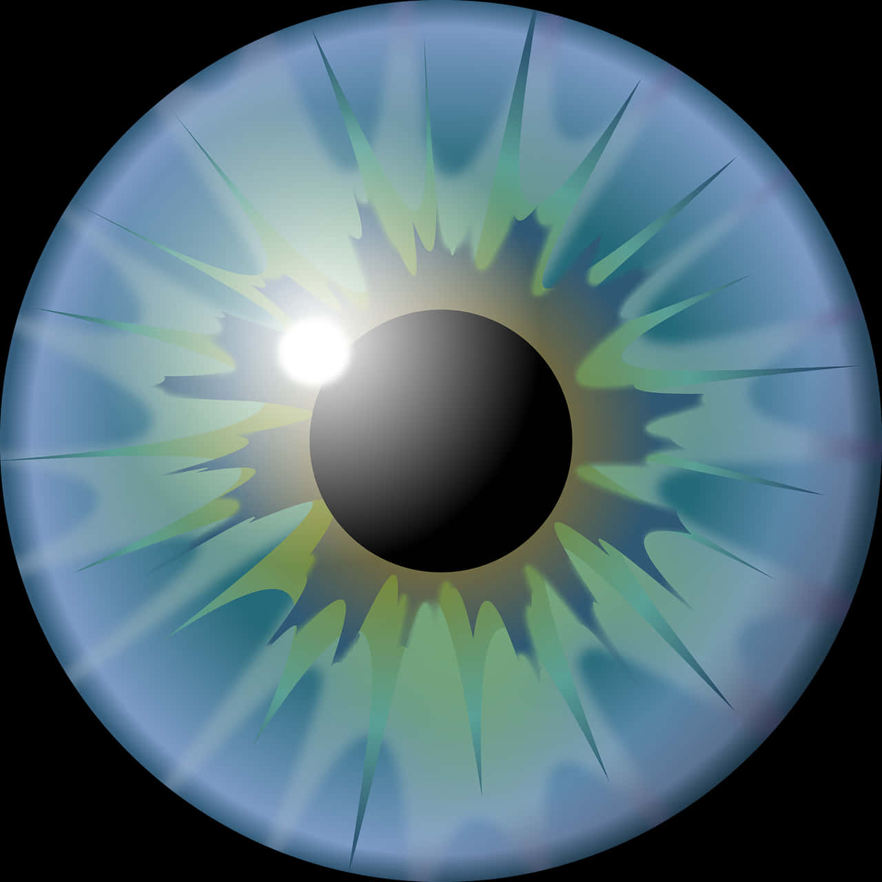 Detailed Iris Eye Lens Graphic PNG