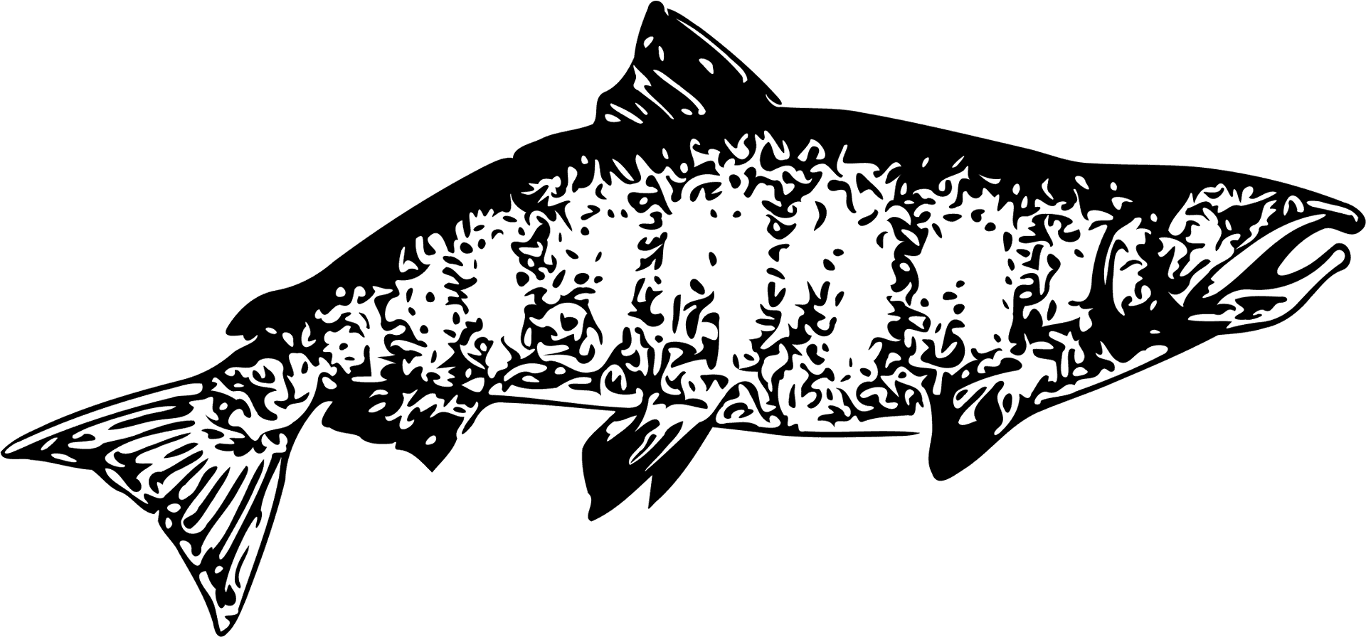 Detailed Salmon Silhouette PNG