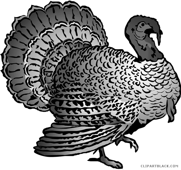Detailed Turkey Clipart Illustration PNG