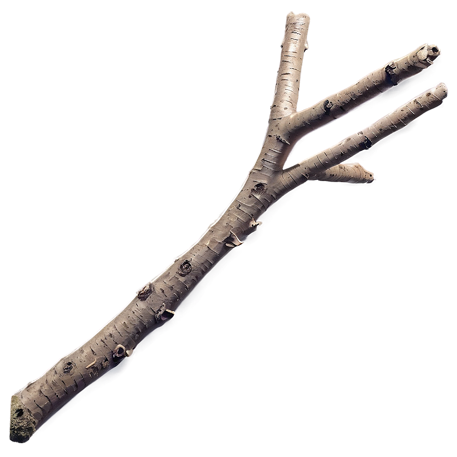 Detailed Twig Png Avg PNG