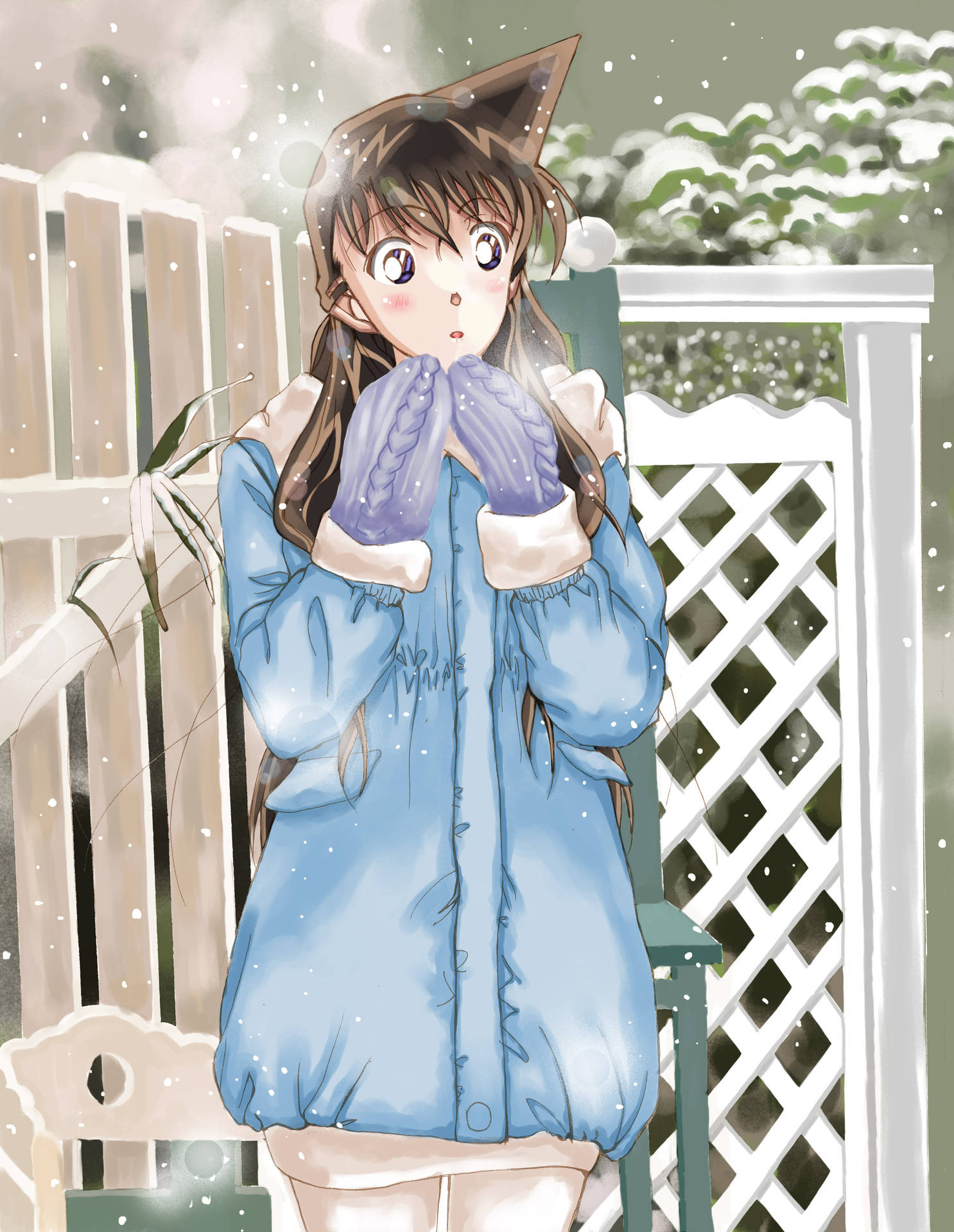 Detective Conan Ran Mouri In Winter Background