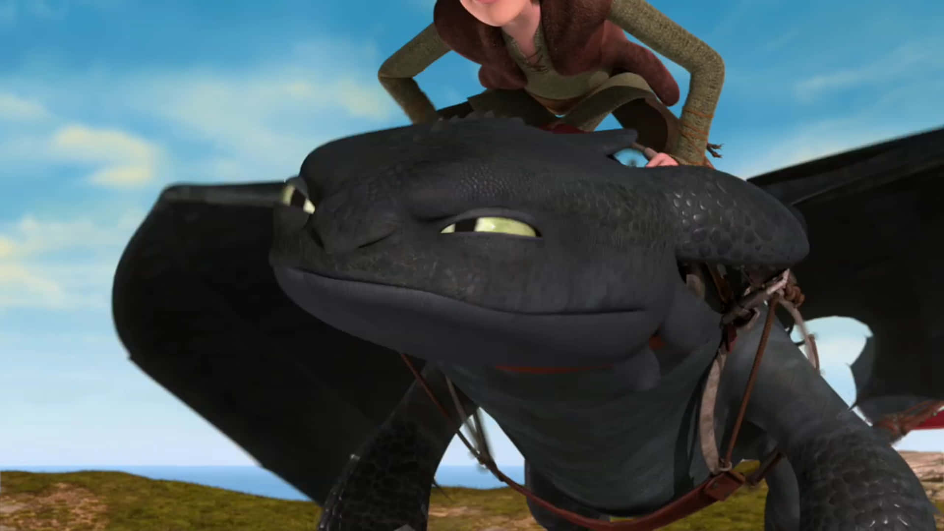 Determined Toothless From Dragons Riders Of Berk Wallpaper