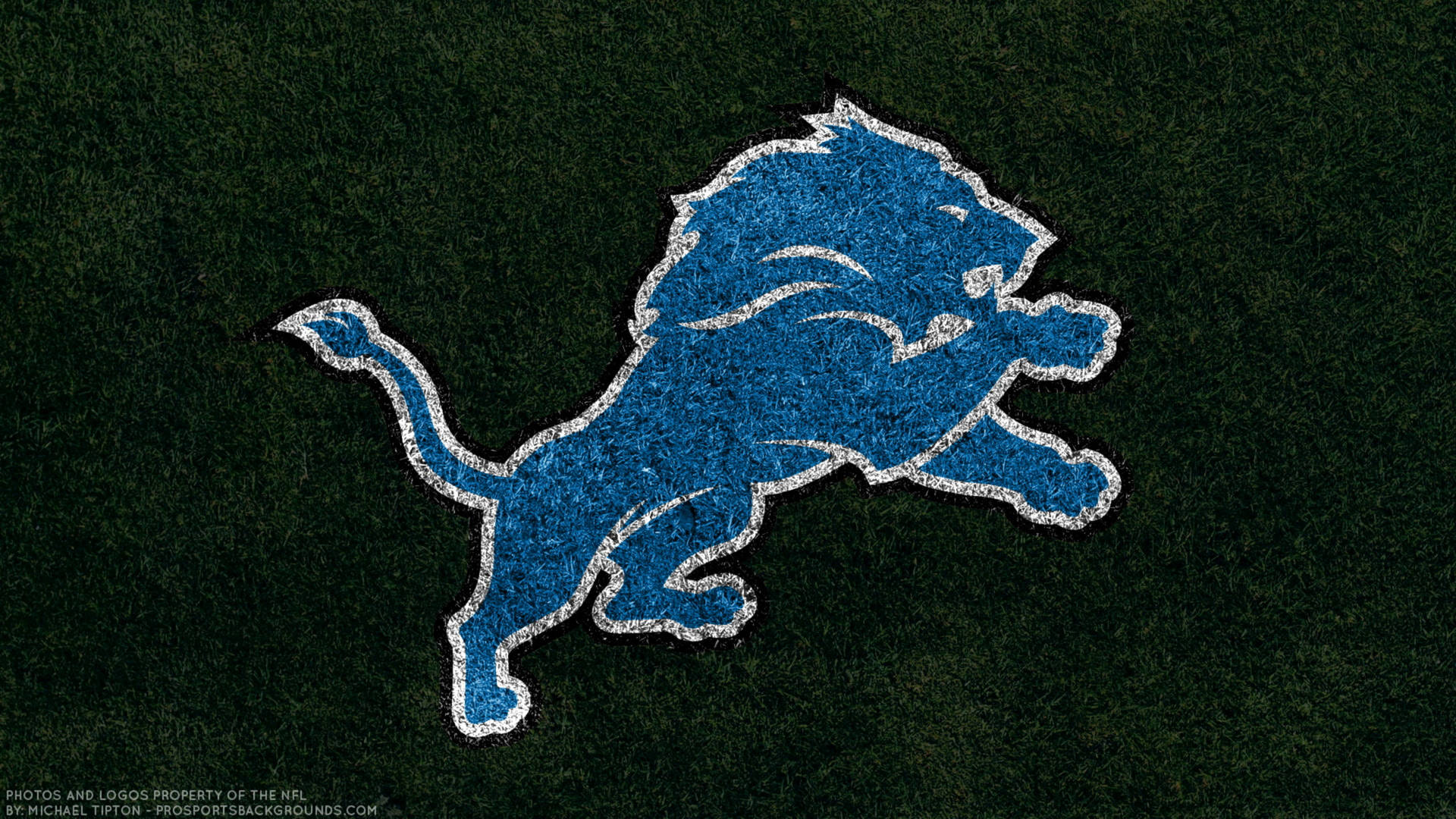 Detroit Lions Grass Painted Logo Wallpaper
