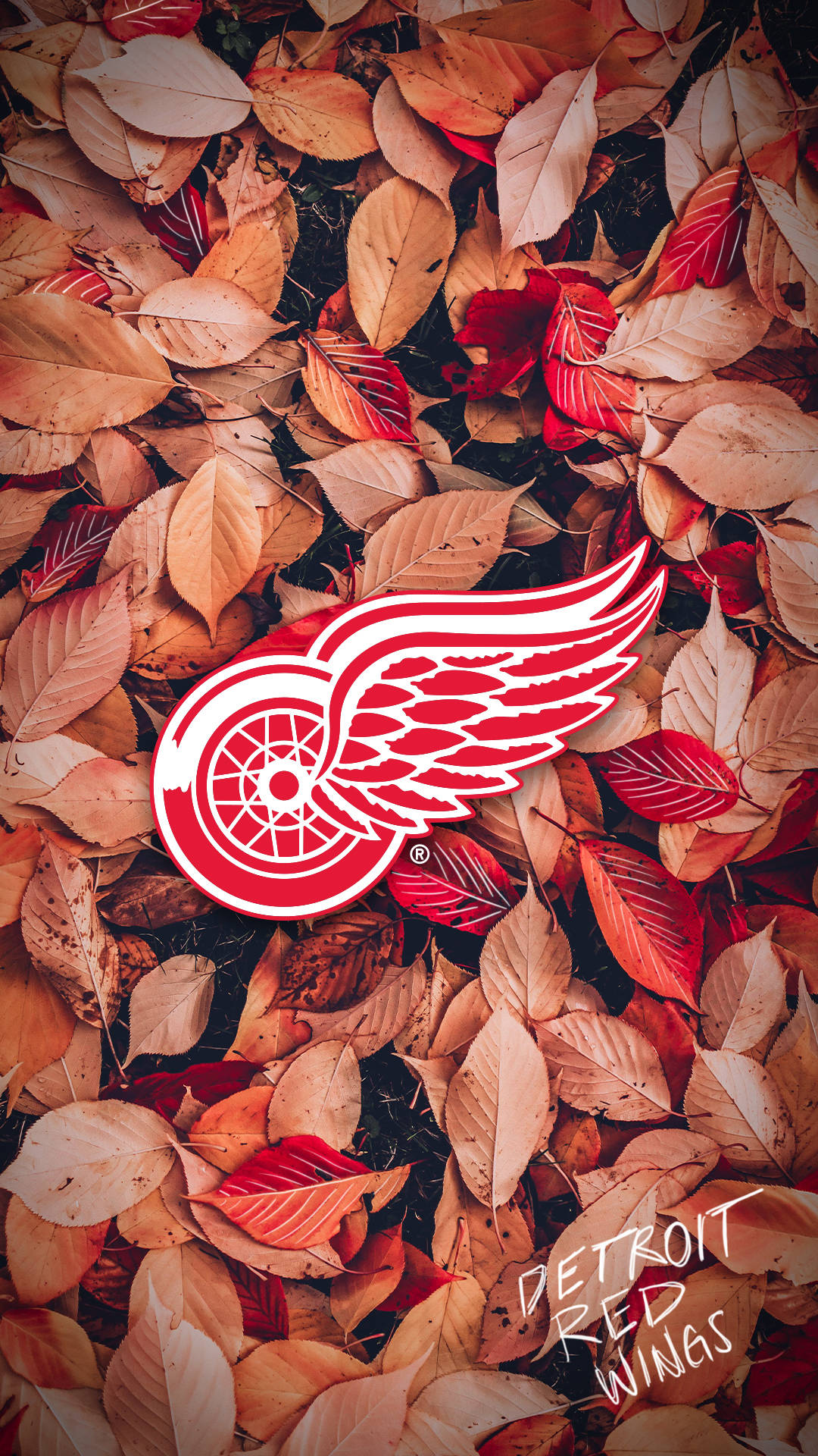 Detroit Red Wings Autumn Wallpaper