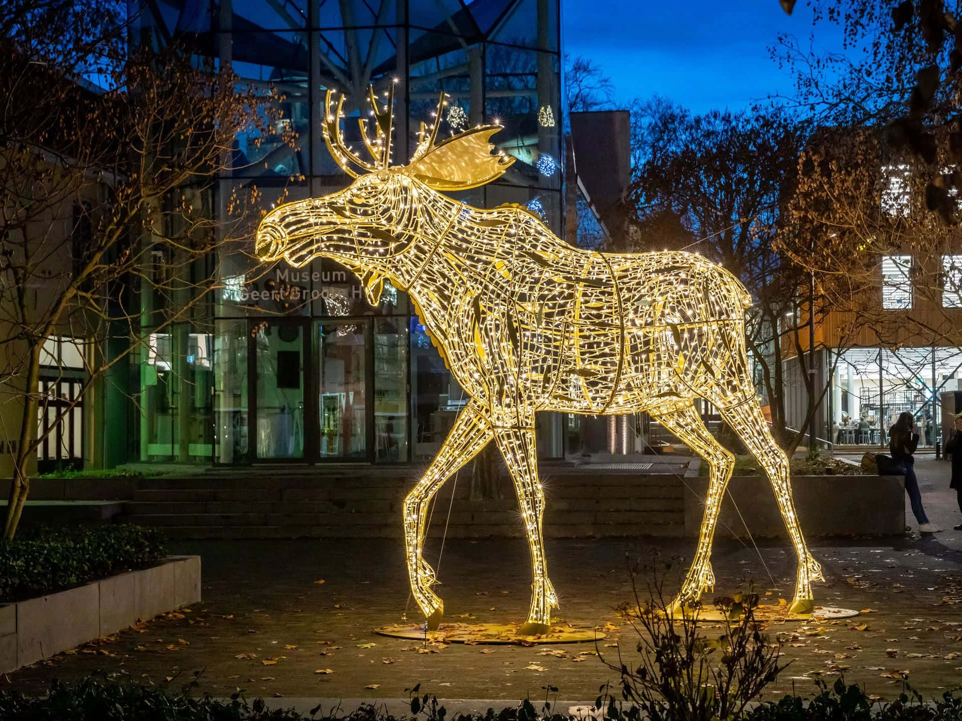 Deventer Illuminated Moose Sculpture Wallpaper