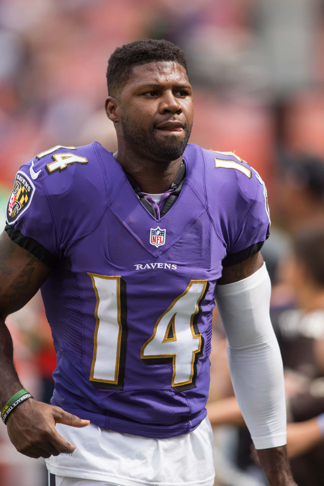 Devin Hester Baltimore Ravens Uniform Wallpaper