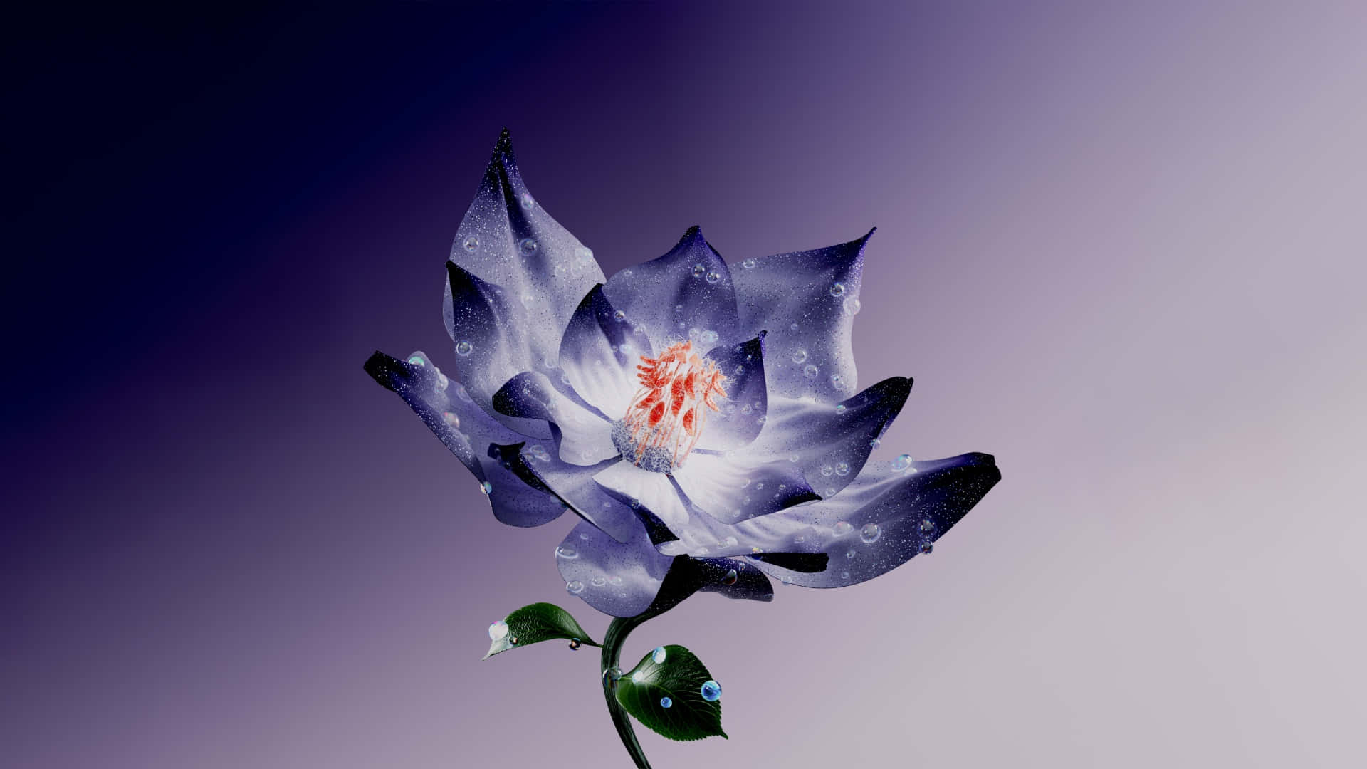 Dew Kissed Blue Lotus Flower Wallpaper