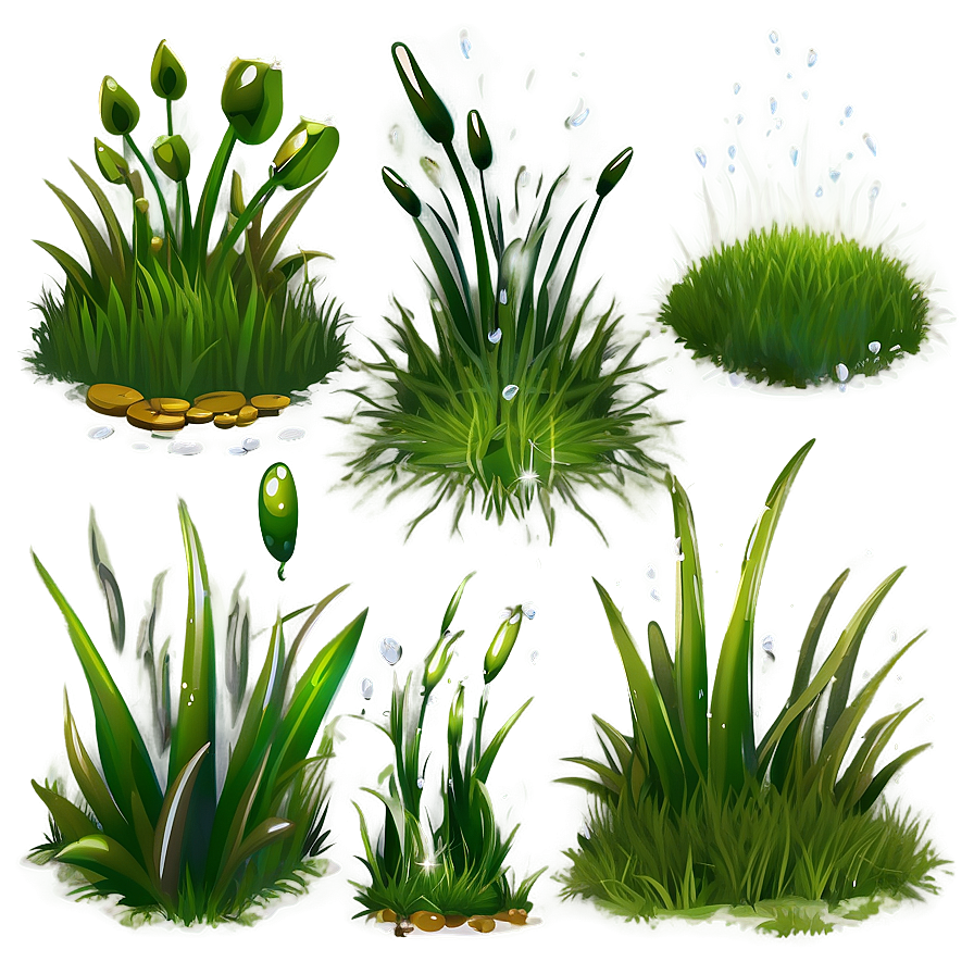 Dew On Grass Clipart Png 60 PNG