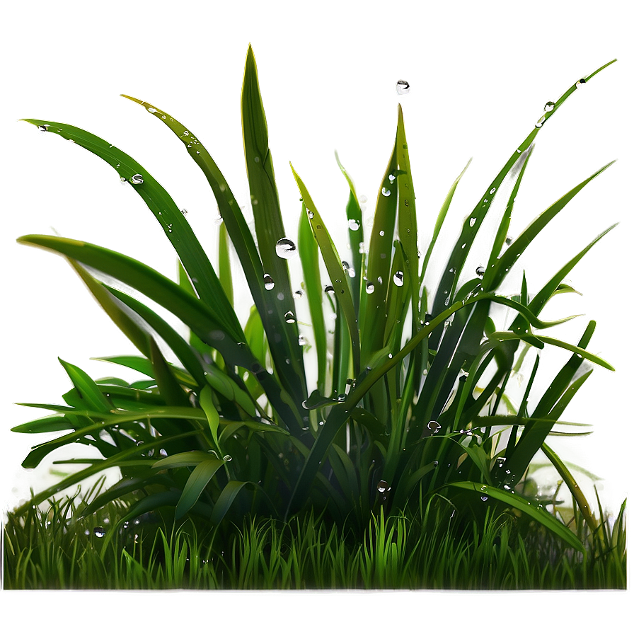 Dewy Morning Grass Png Bka35 PNG
