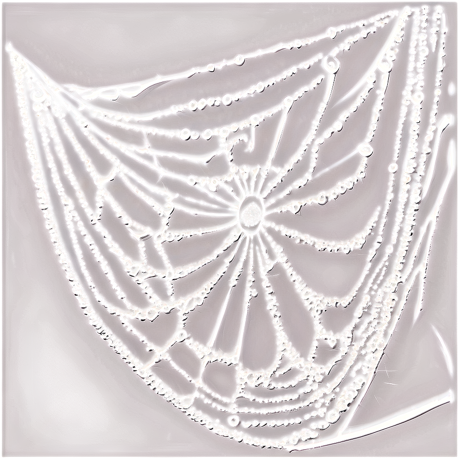 Dewy Spider Web Art PNG