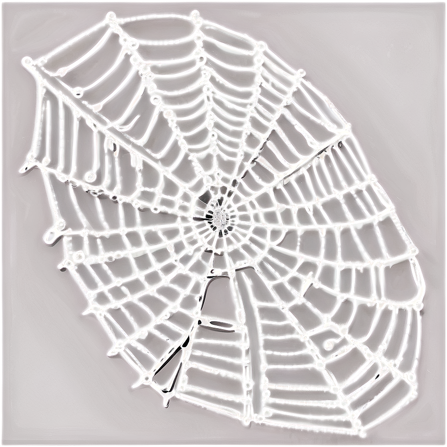 Dewy Spider Web Art PNG