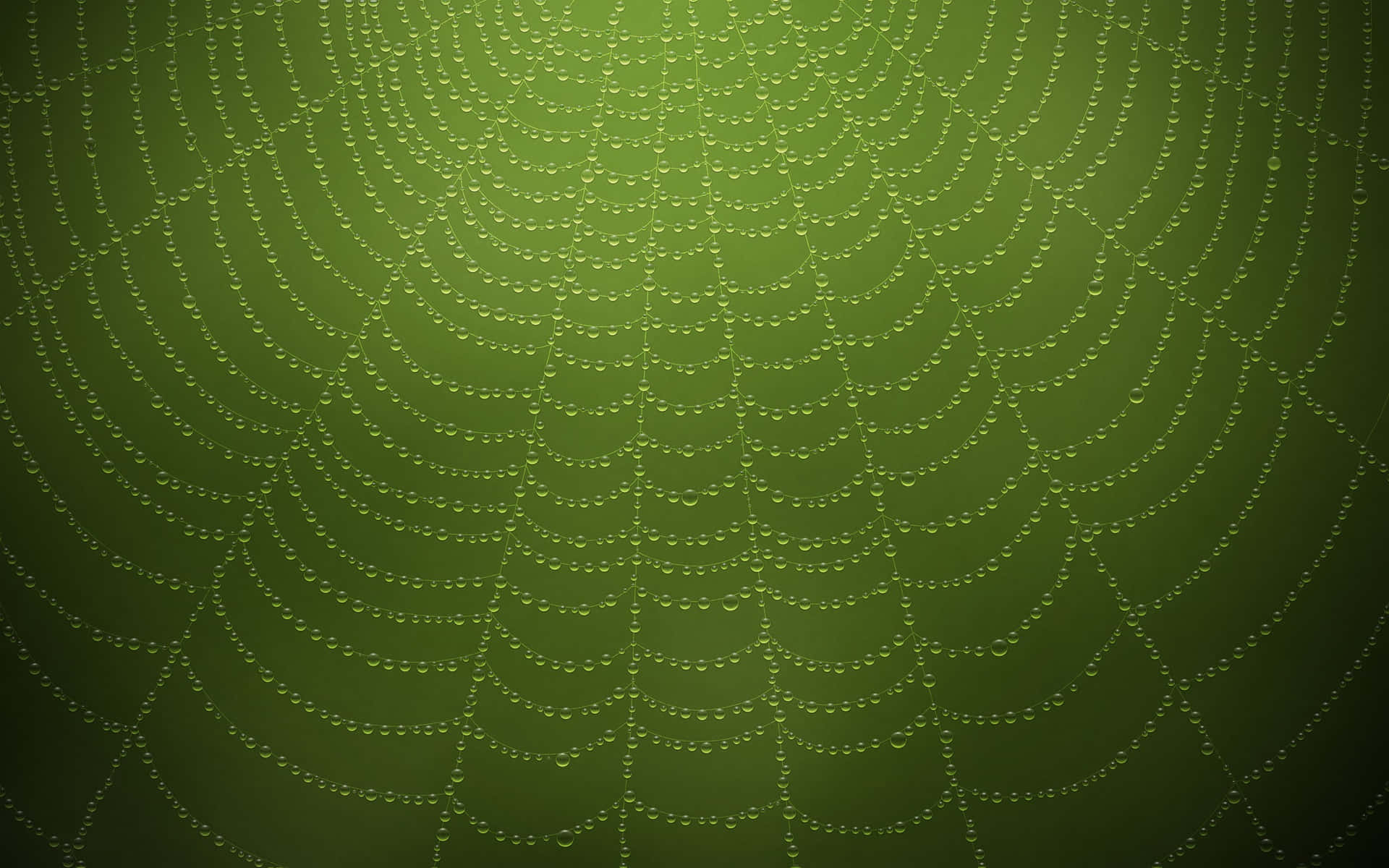 Dewy Spider Web Green Background Wallpaper