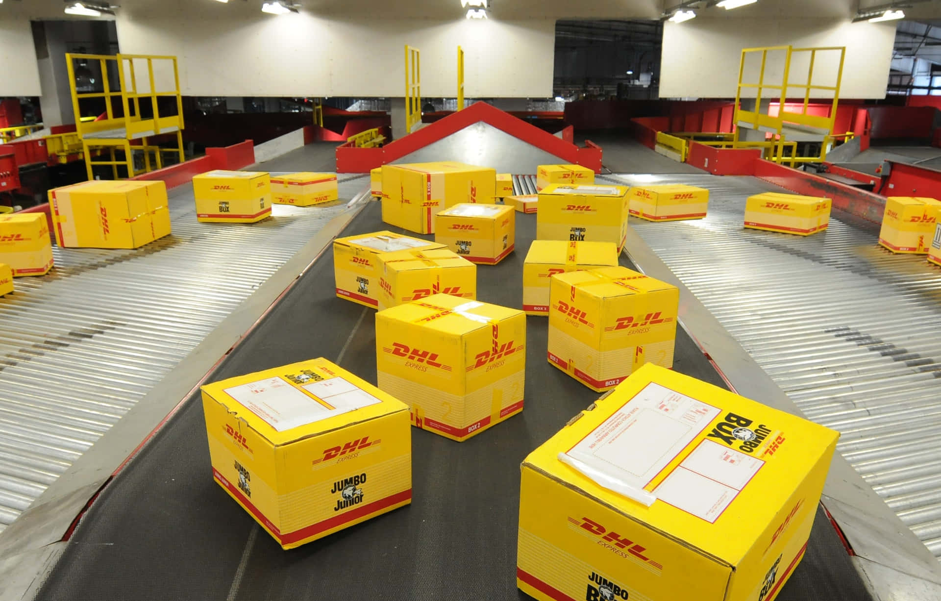 Delivery Success with DHL