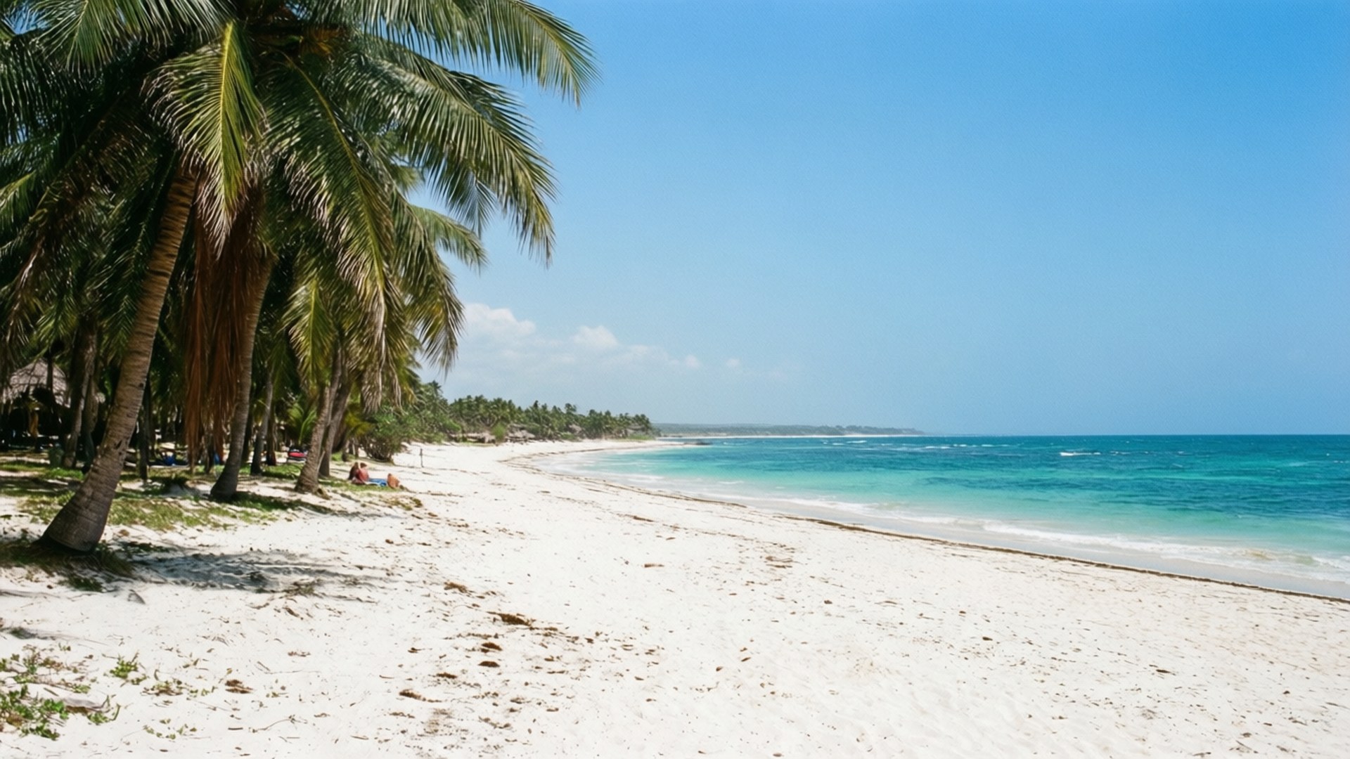 Diani Beach Bliss Achtergronden — Een ongerept tropisch strand aan de Keniaanse kust in Diani.