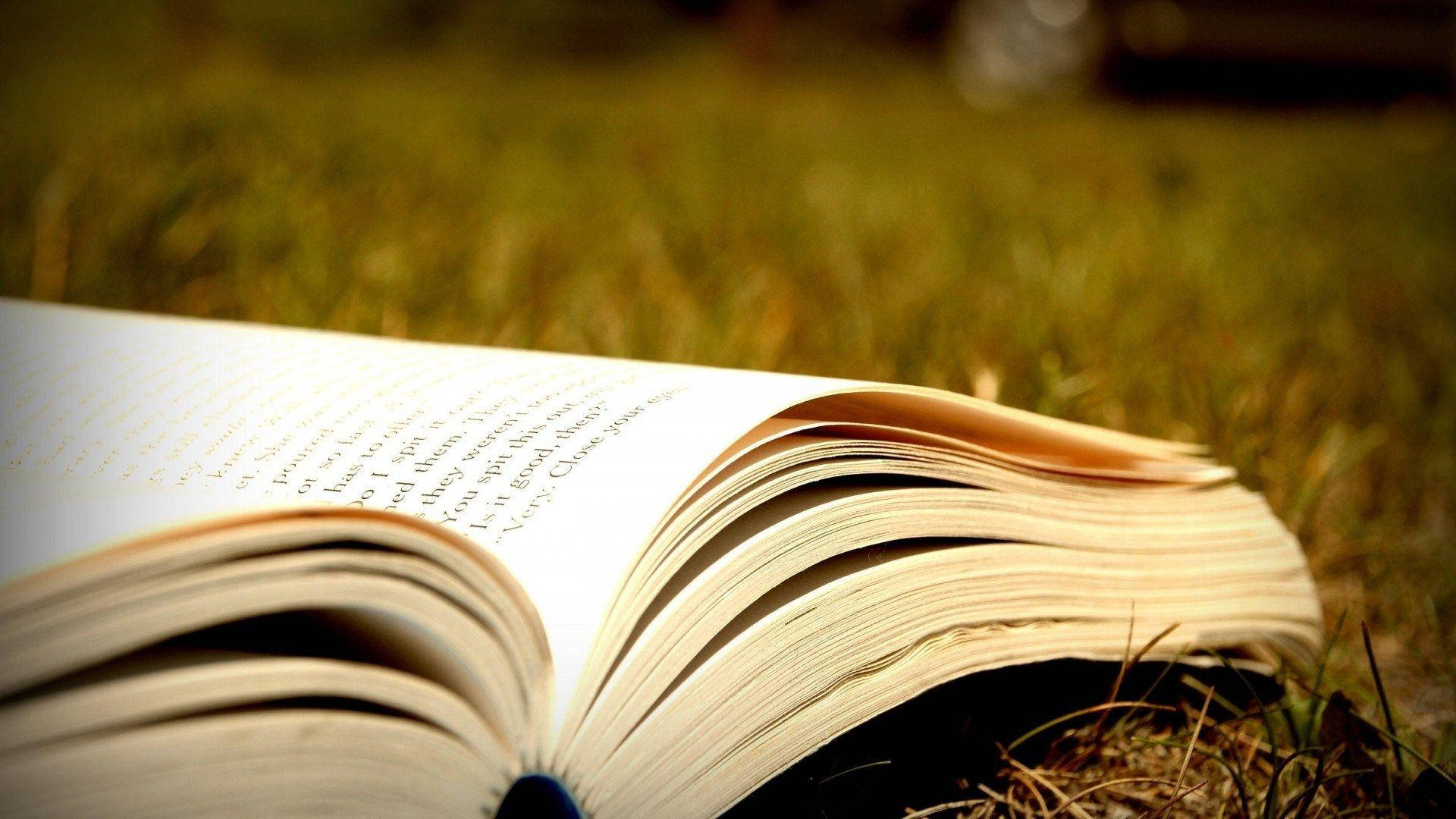 Dictionary Book In Grass Wallpaper