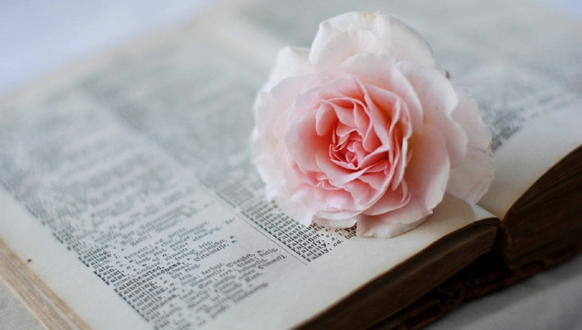 Dictionary Book With Pink Flower Wallpaper