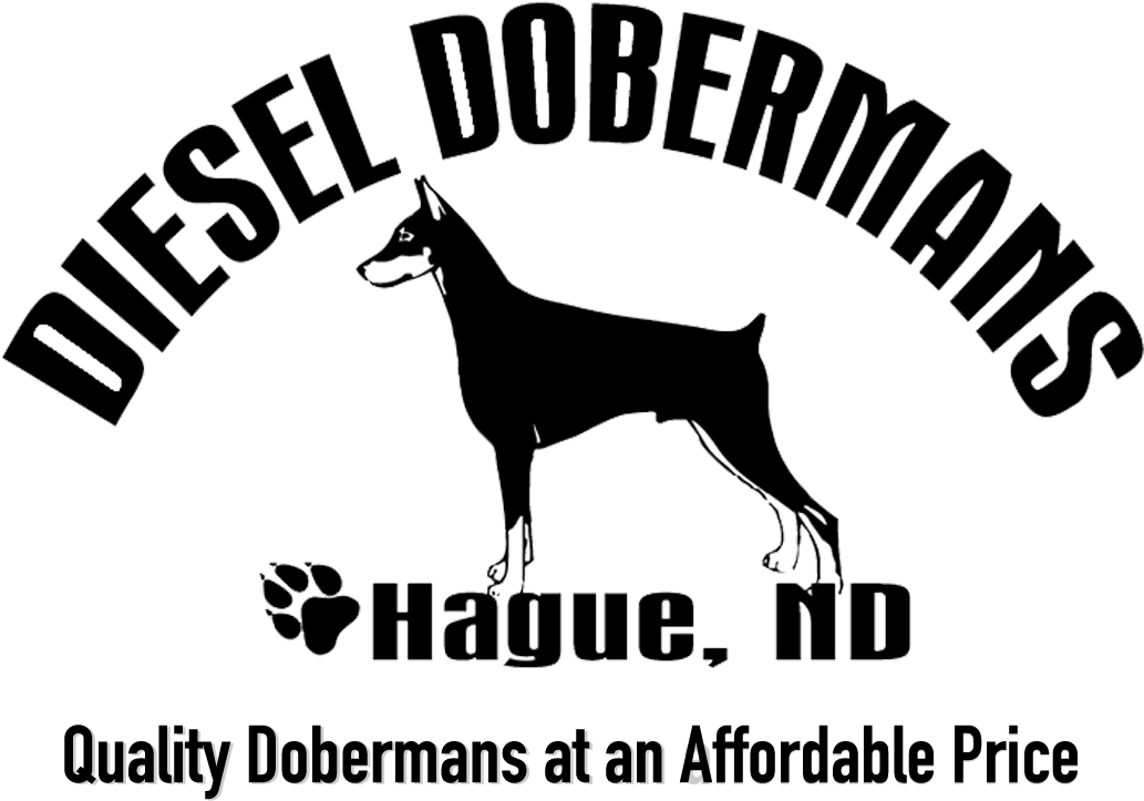 Diesel Dobermans Logo PNG