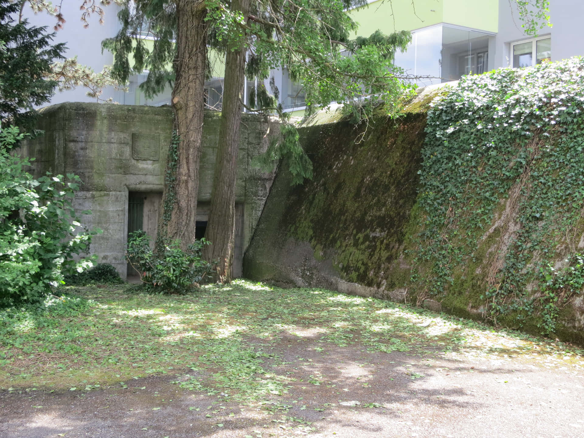 Dietikon Bunker Hiddenin Greenery Wallpaper