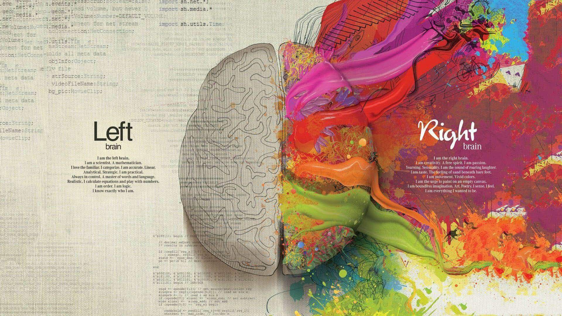 Contrasting Brain Hemispheres Illustration Wallpaper