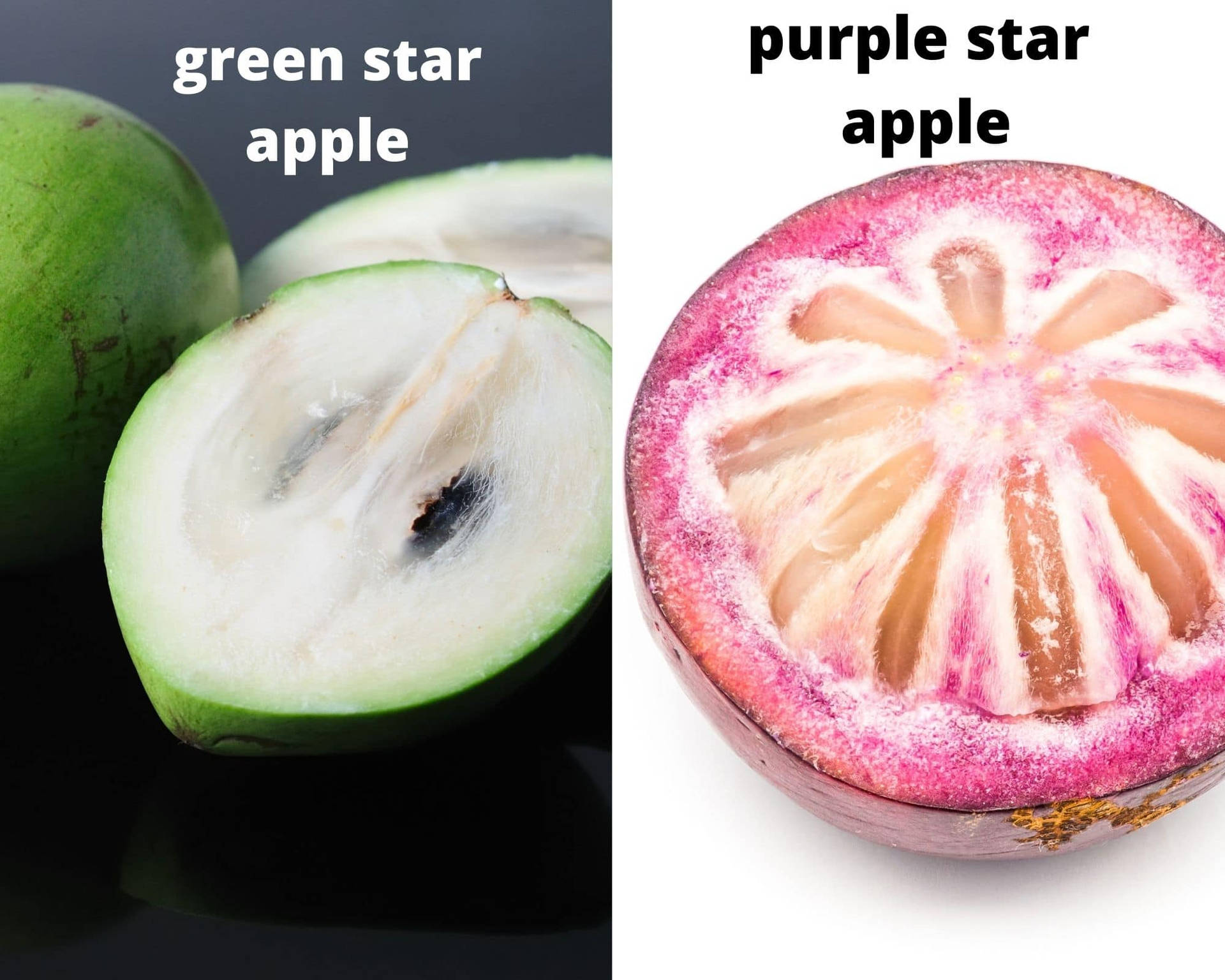 Different Colors Of Star Apple Wallpaper