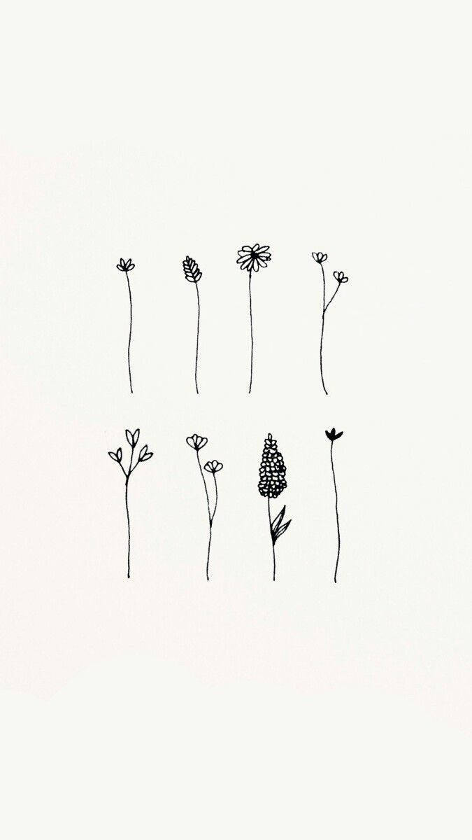 Different Flowers Aesthetic Sketches Wallpaper