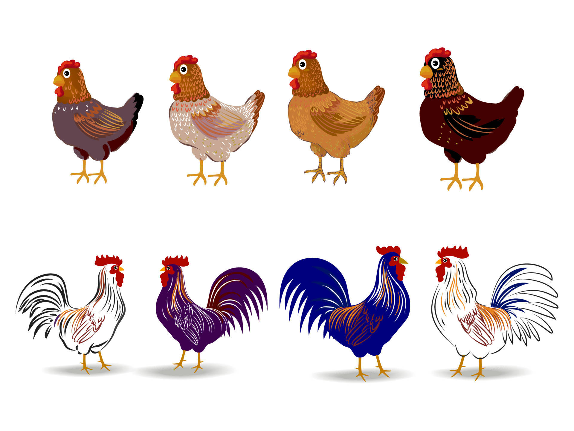 Chicken Hen Wallpaper  Free photo on Pixabay  Pixabay