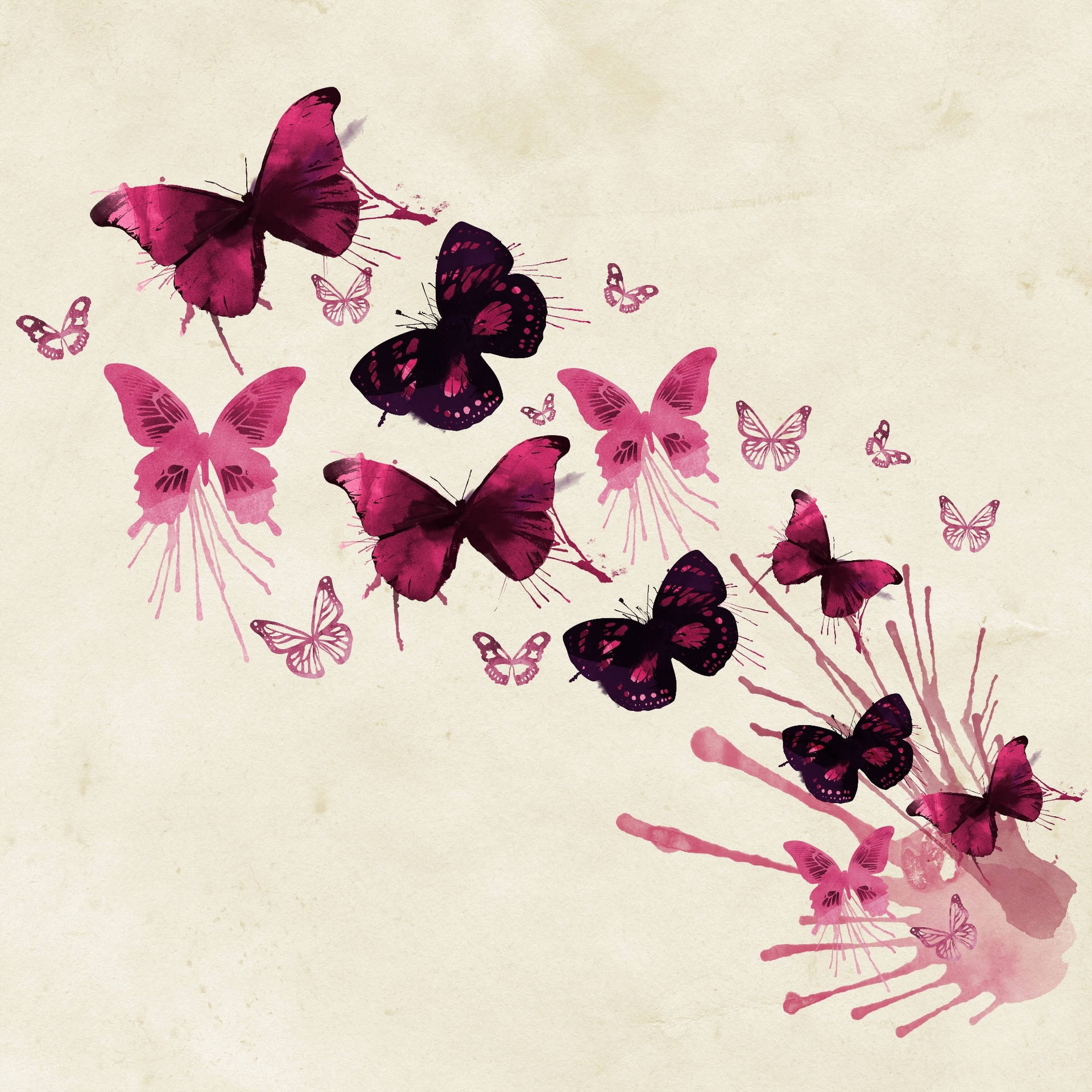 Different Shades Of Cute Pink Butterfly Wallpaper