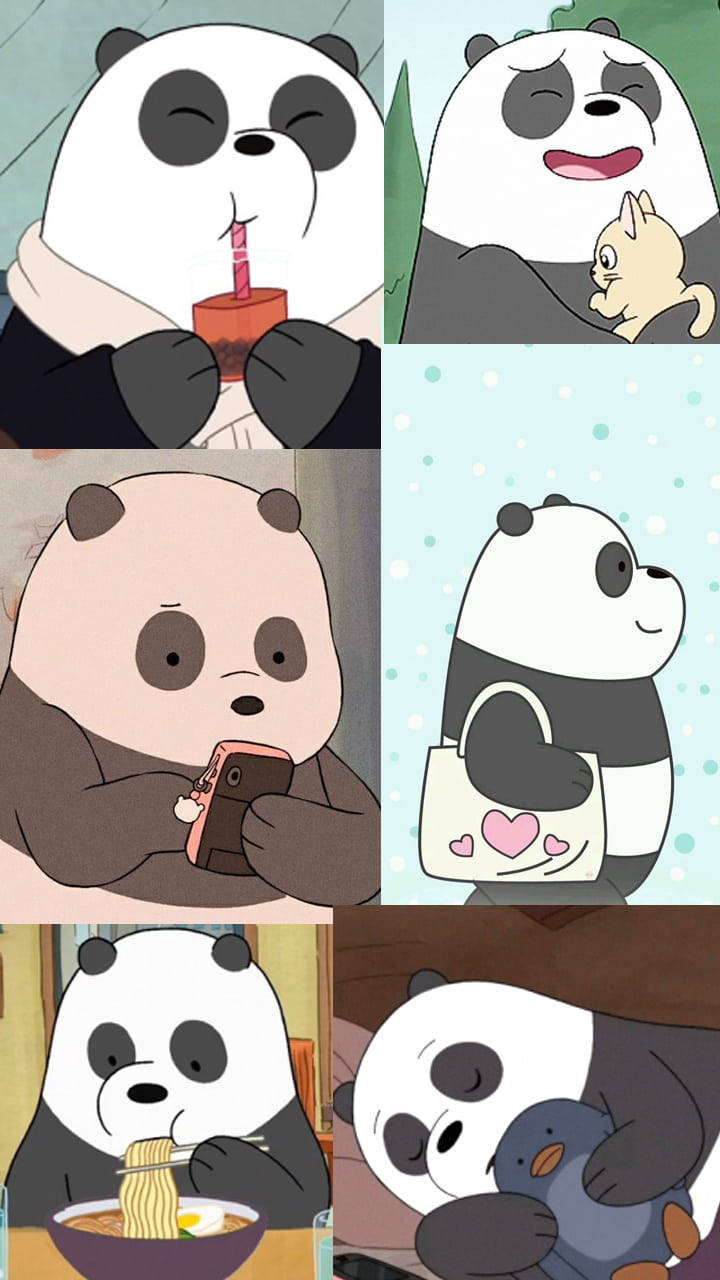 Different Stages Panda We Bare Bears Picture