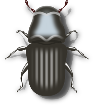 Digital Art Beetle Illustration PNG