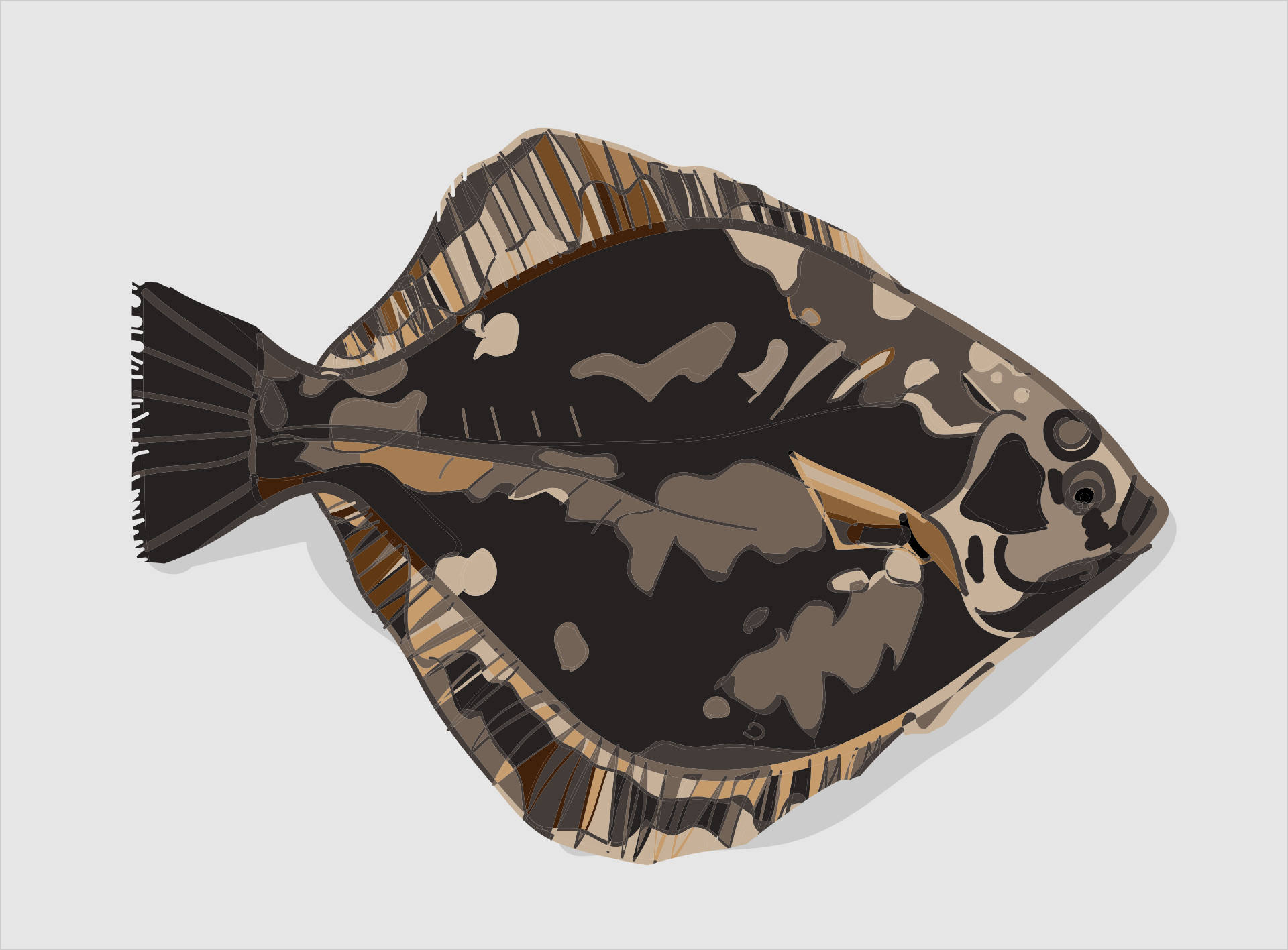 Digital Art Dark Scale Flounder Wallpaper