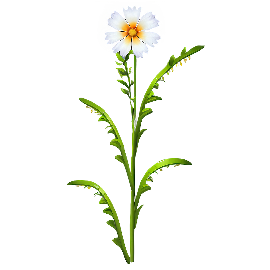 Digital Art Flower Stem Png 78 PNG