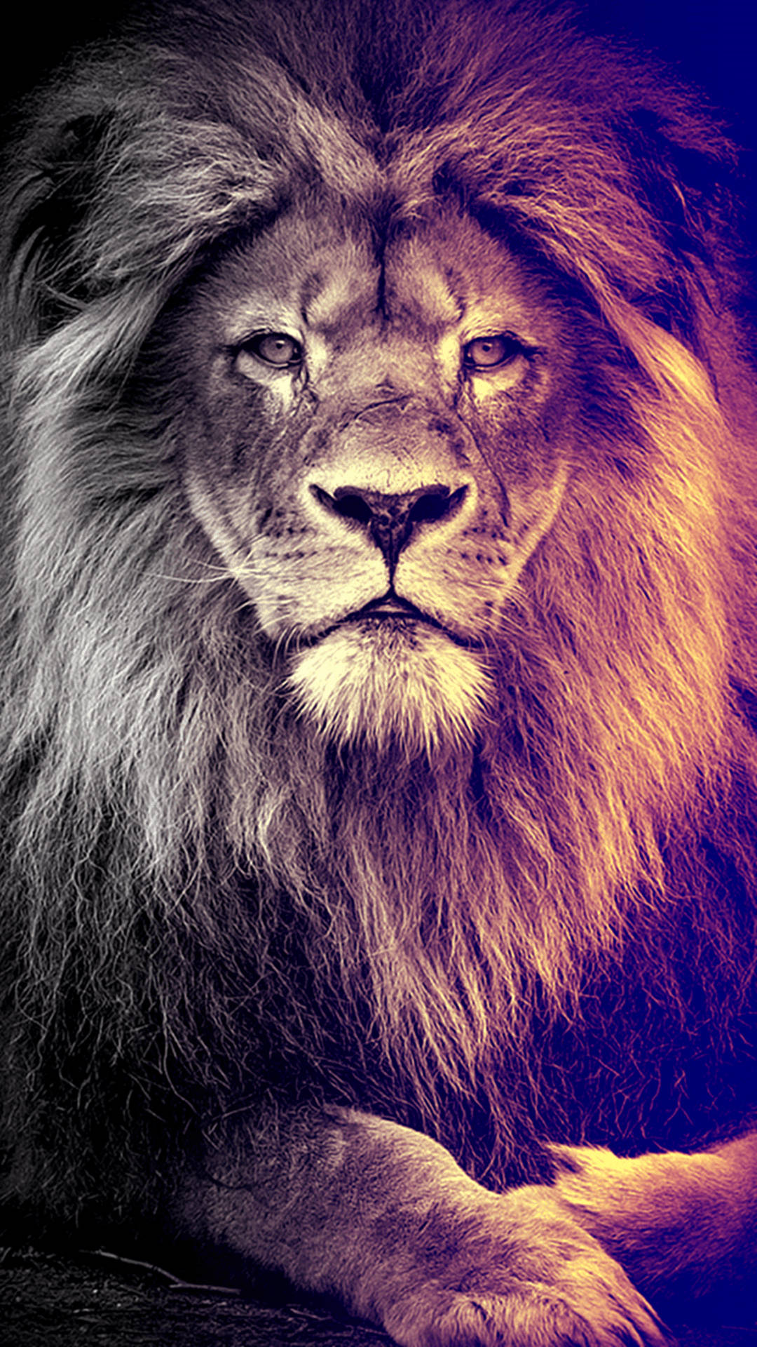 Digital Art Lion iPhone Wallpaper
