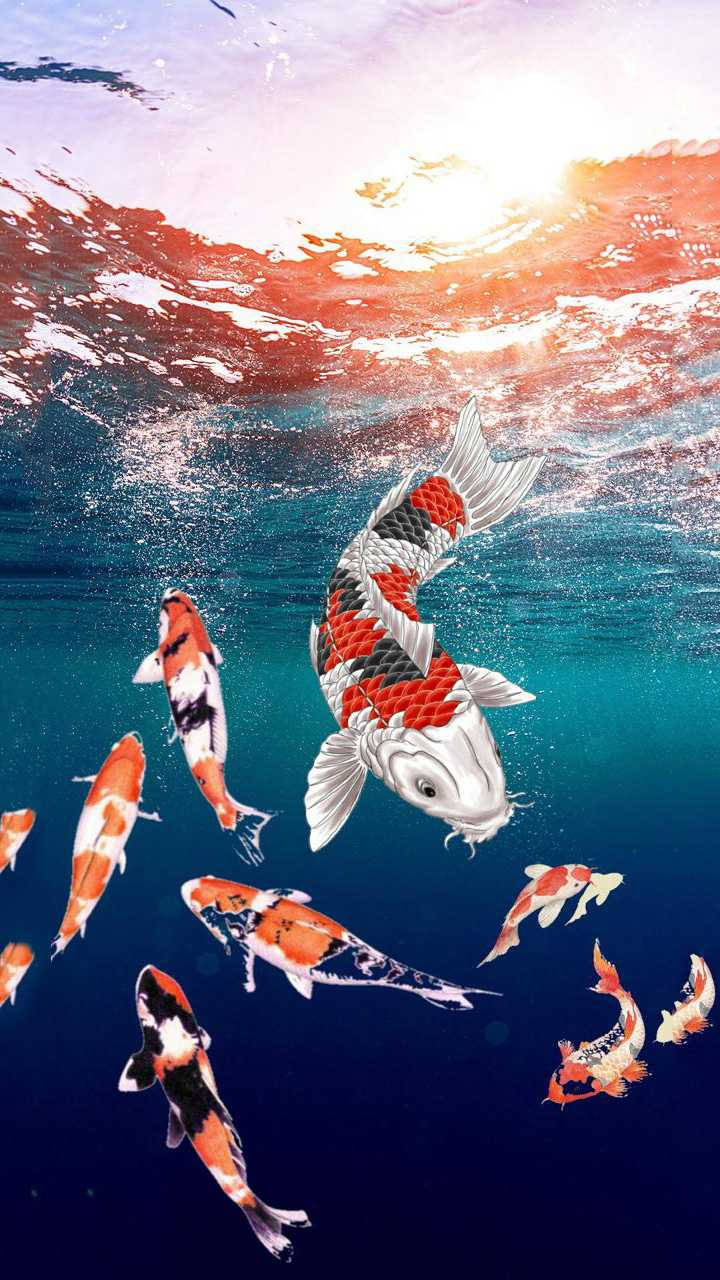 Digital Art Of Koi Fish Iphone Wallpaper