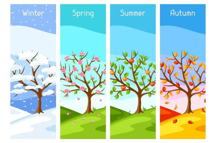 Digital Art Seasons Wallpaper