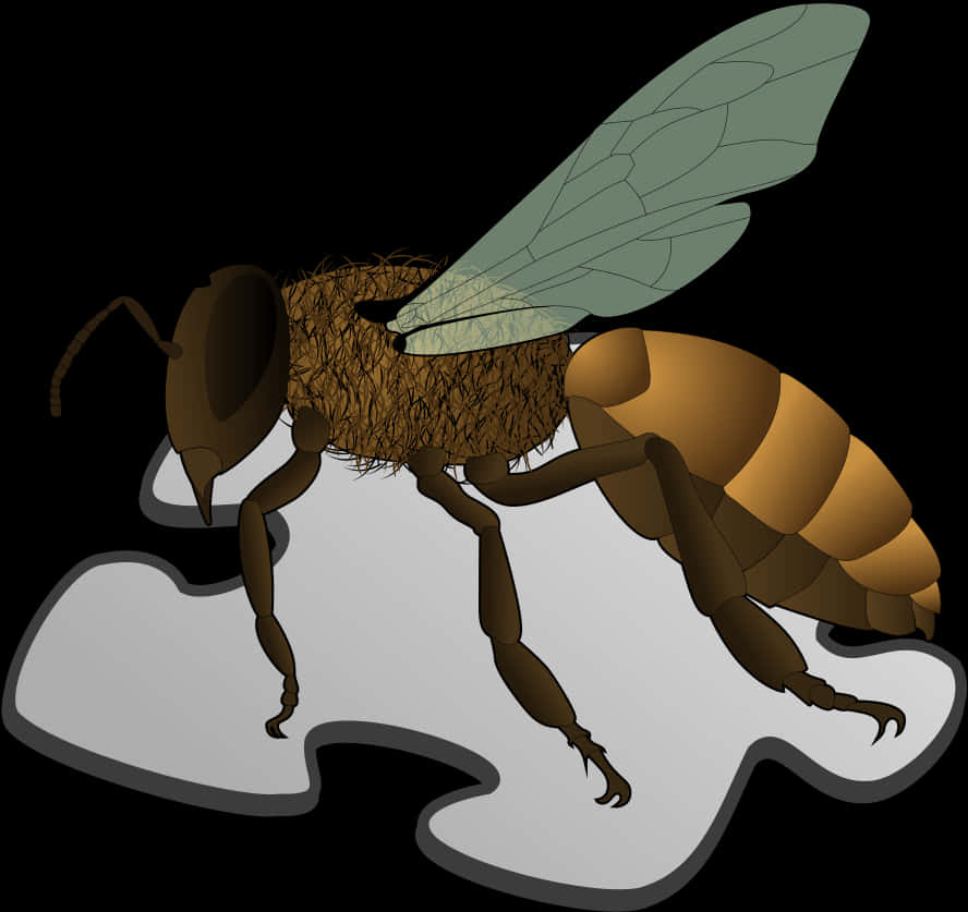 Illustrated Honey Bee Graphic PNG