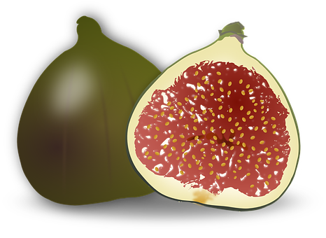 Digital Artworkof Fig Fruit PNG