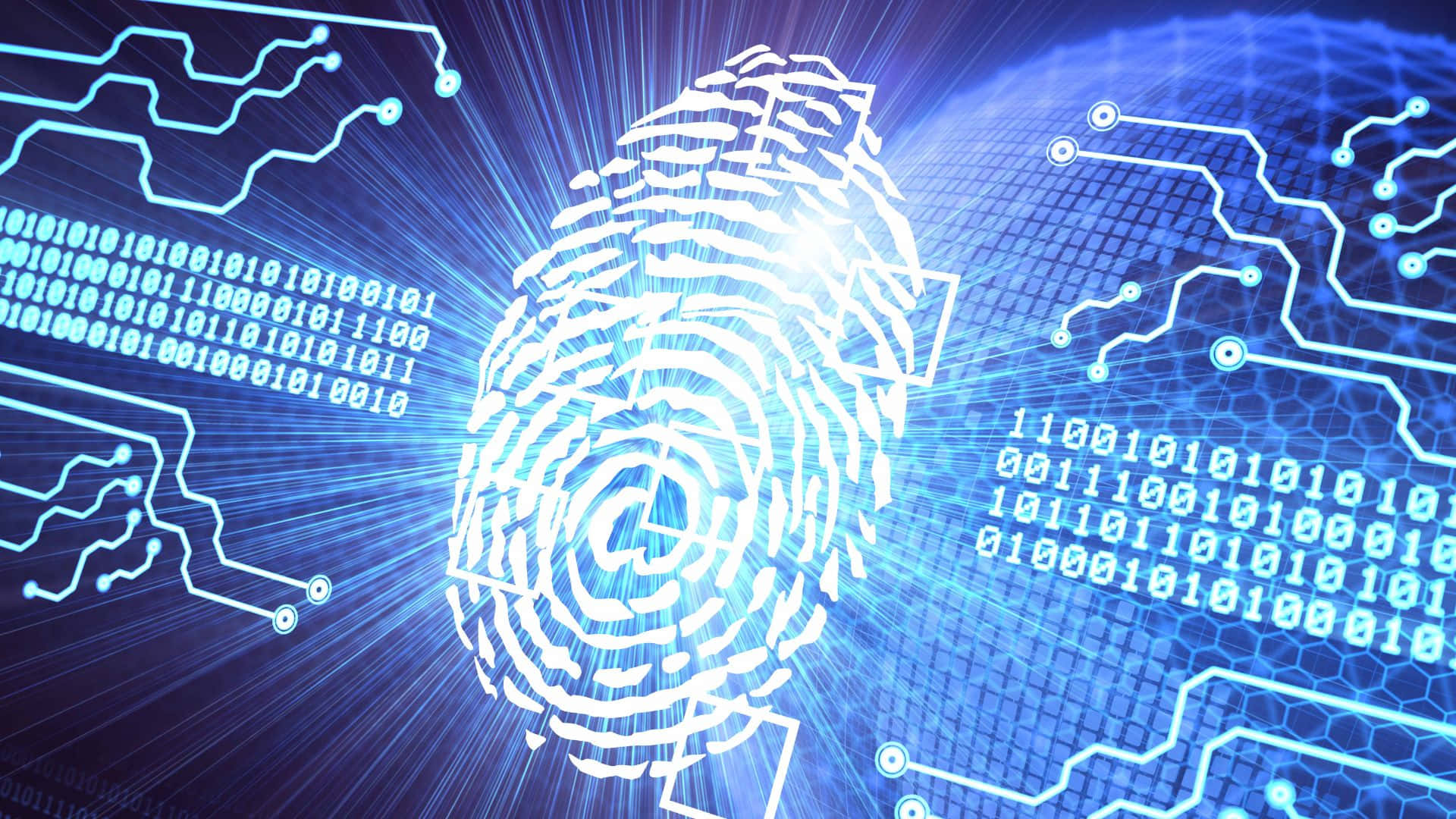 Digital Fingerprint Identification Concept Wallpaper