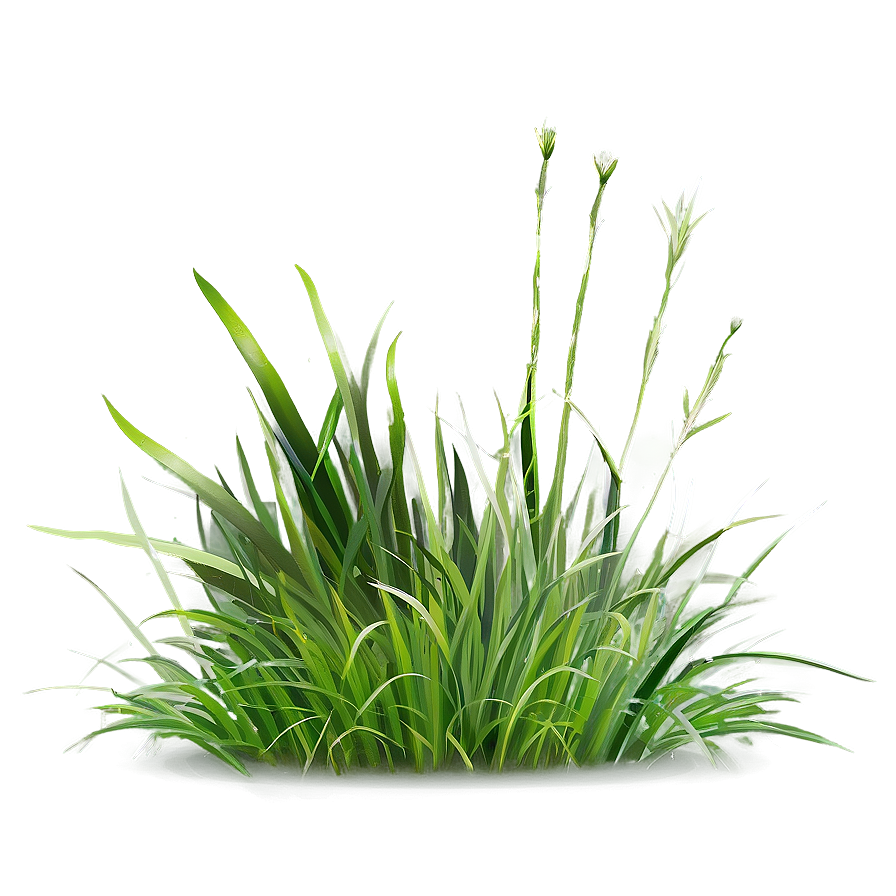 Digital Grass Clipart Png 6 PNG