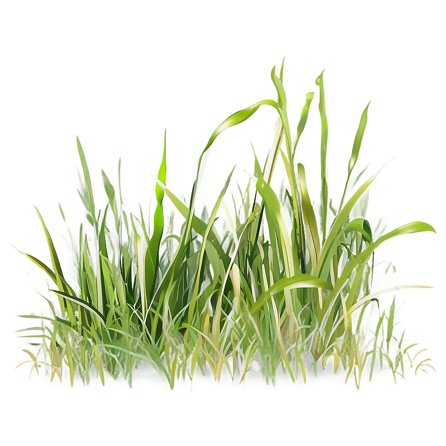 Digital Grass Clipart Png 94 PNG