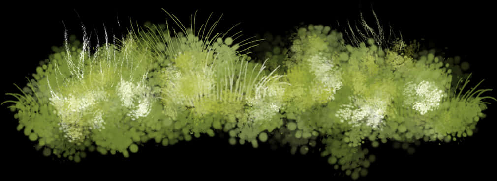 Digital Grass Texture Isolatedon Black PNG