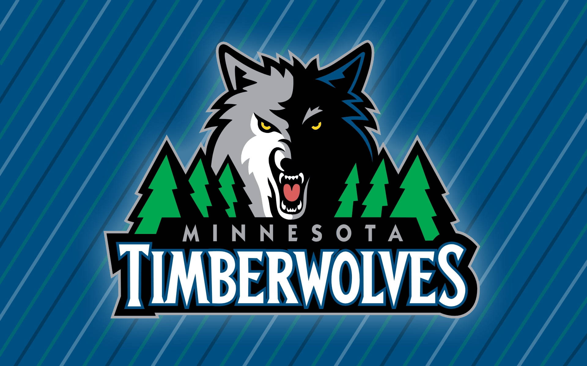 Digital Minnesota Timberwolves Franchise Logo