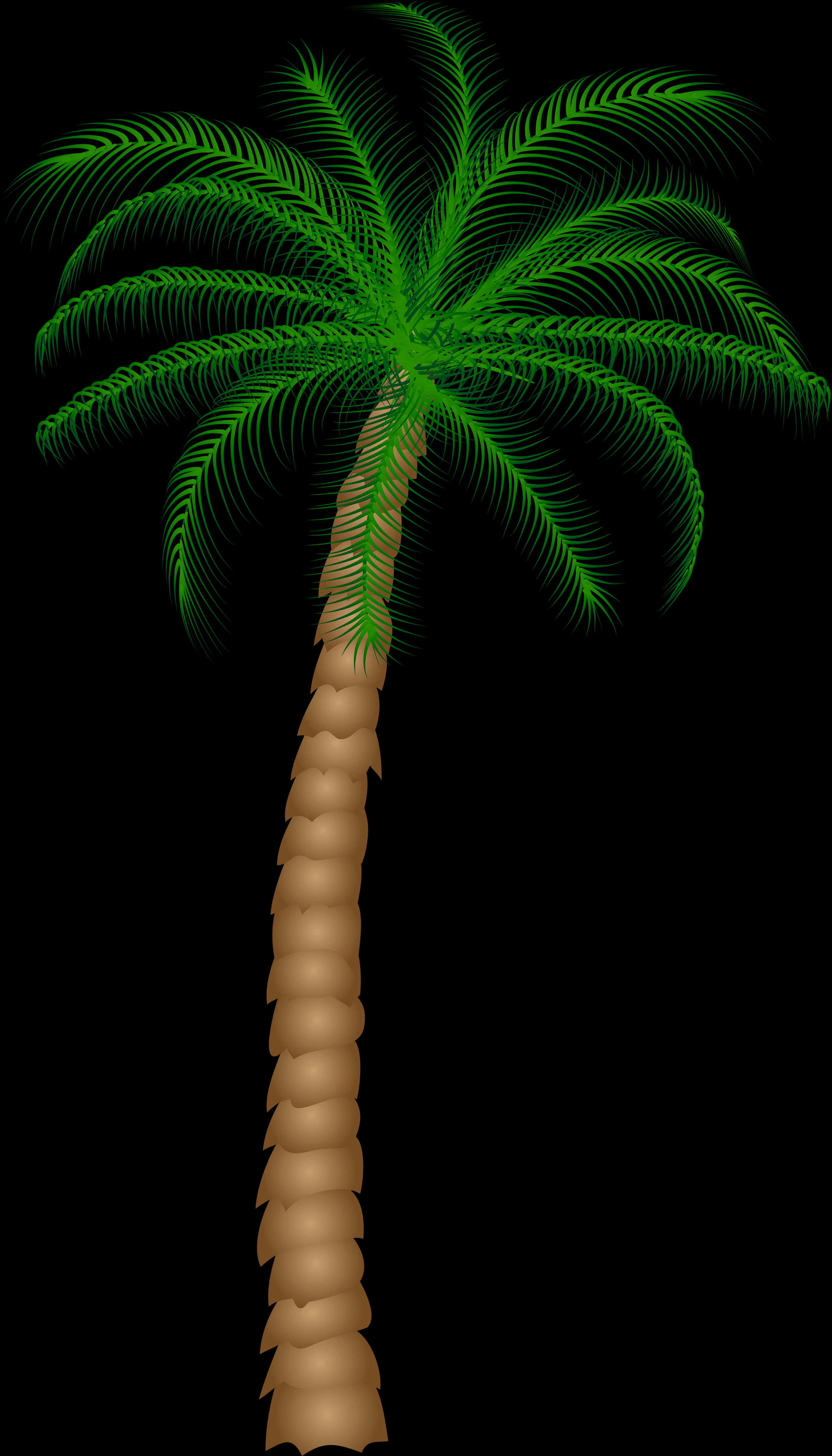 Digital Palm Tree Artwork PNG