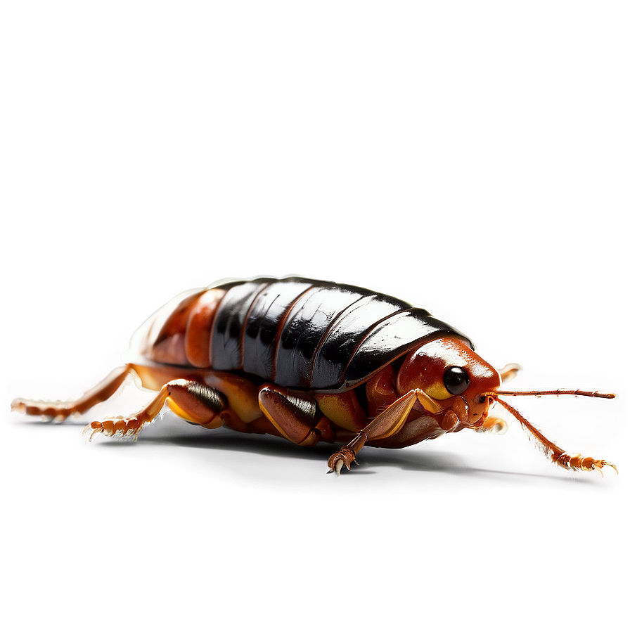 Digital Roach Png 19 PNG