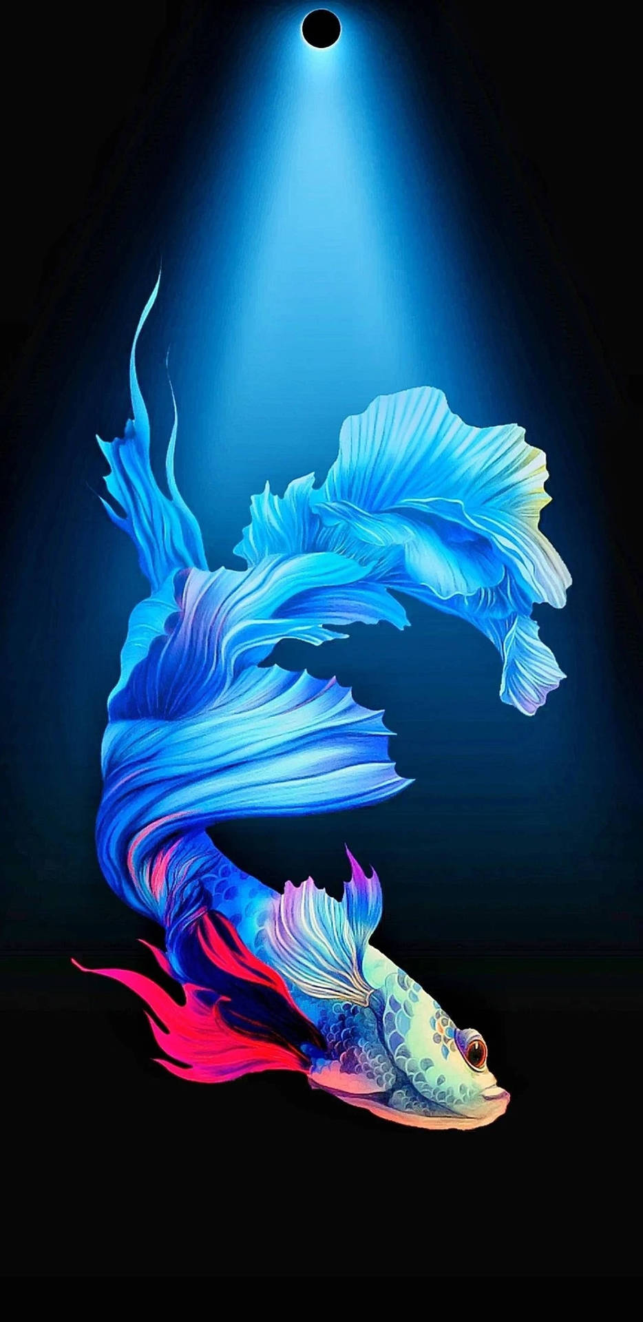 Digital Siamese Fighting Fish Iphone Wallpaper