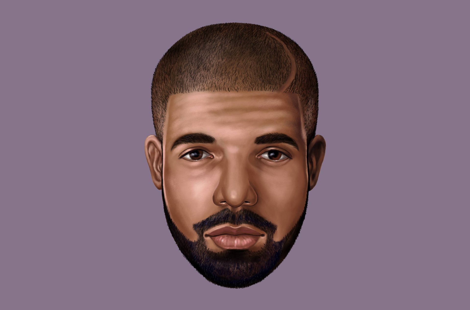 Digitally Painted Drake
