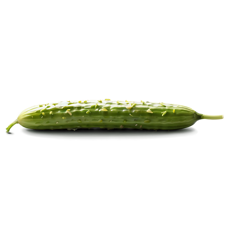 Dill Pickle Spear Png 06272024 PNG