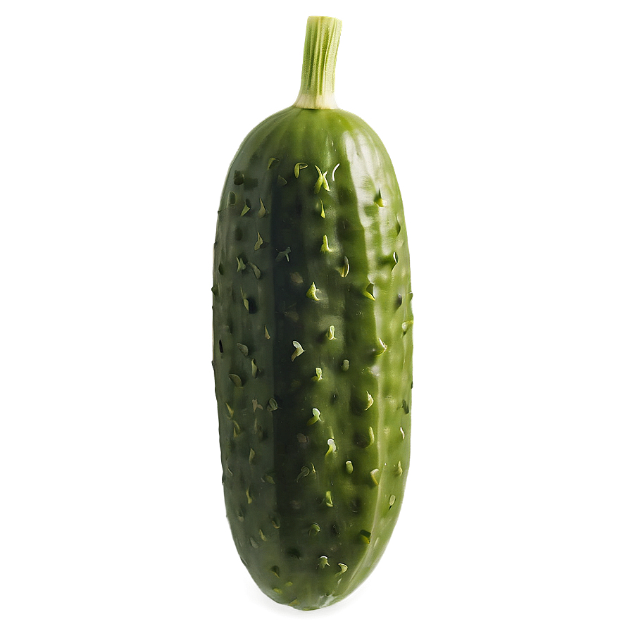 Dill Pickle With Dill Herb Png Tvu93 PNG
